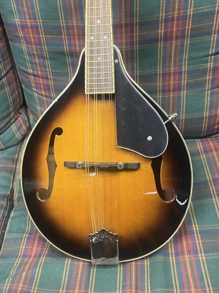 Brand New Alvarez Mandolin Carousel 2