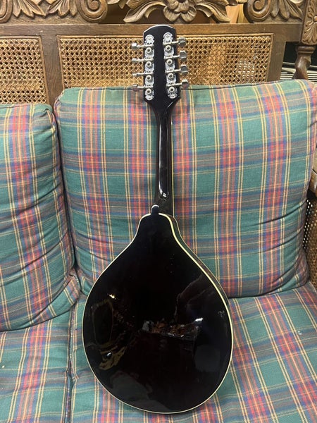 Brand New Alvarez Mandolin Carousel 5
