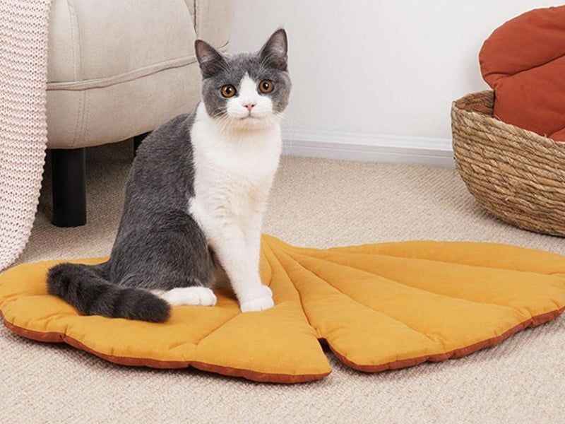 Double-Sided Ginkgo Biloba Shape Dog Cat Bed Mattress Cushion Soft Pad Washable Carousel 3