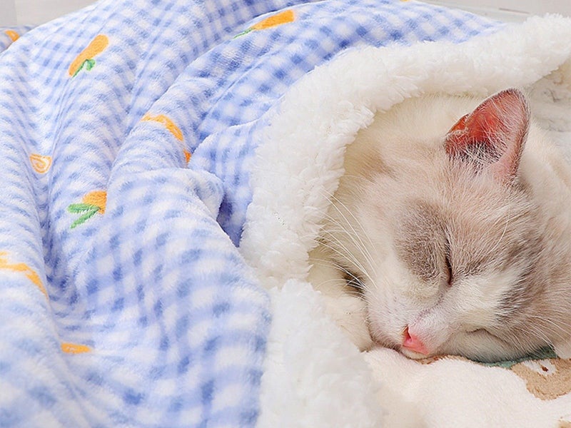 60x40cm Double Layer Pet Cat Winter Warm Blanket Plush Throw Blanket Blue Carousel 2