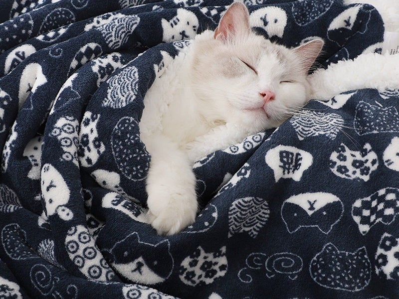 60x40cm Double Layer Pet Cat Winter Warm Blanket Plush Throw Blanket Navy Blue Carousel 2