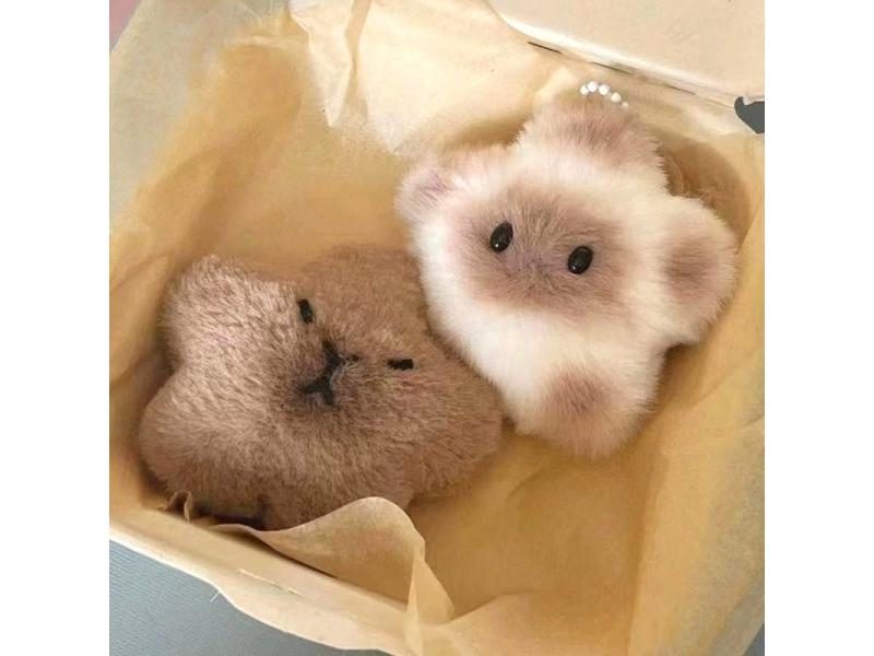 Capybara Plush Doll Star Squeak Toy Cartoon Keychain Pendant Carousel 2