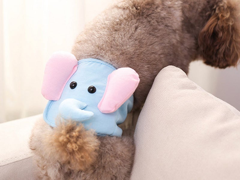 4X L Size Printed Pattern Washable Male Dog Diapers Belly Wrap Band Carousel 3