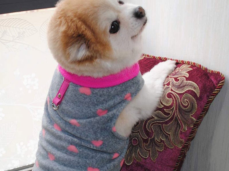 Warm Pet Polar Fleece Vest Dog Apparel with Leash Ring Carousel 2