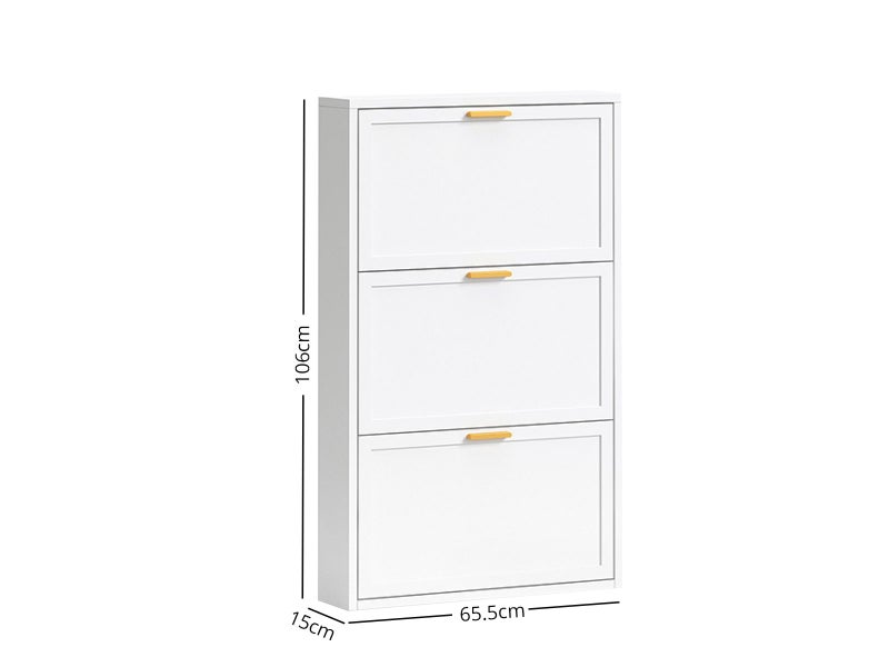 Shoe Cabinet Carousel 1
