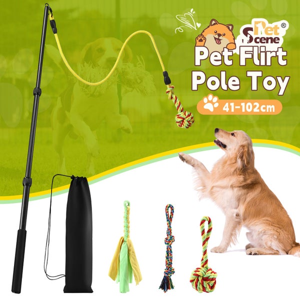 Interactive Flirt Toy Pole Dog Cat Play Wand Retractable Agility Training Stick Carousel 1