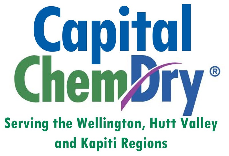 Carpet Cleaning, Stain Removal & Disaster Recovery Carousel 2