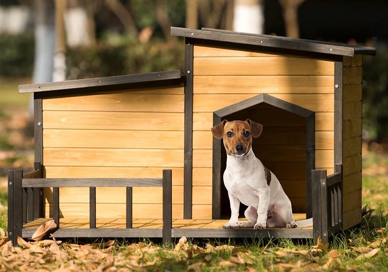 Dog House,Dog Kennel Carousel 1