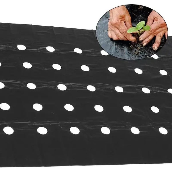 WEEDMAT :95cmx10m, WITH HOLES for weed/moisture/warmth care for seedlings, 1 pcs Carousel 1