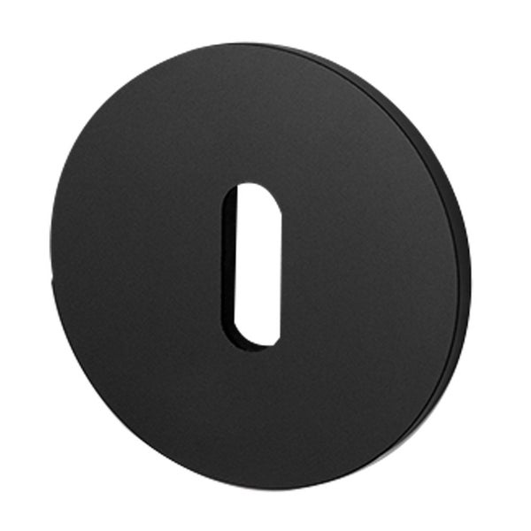 Buster and Punch Escutcheon Plate Traditional Profile - Available in Various Fin Carousel 1
