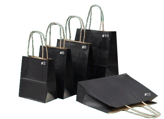 Paper Bags /Gift Bags Twist Handle- Midnight x 25 units (180 x 220 x 80mm) Carousel 1