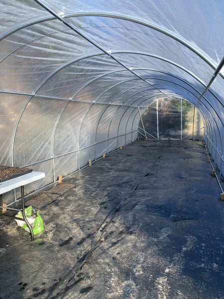 Tunnelhouse Hothouse 11x3M 33m2 Carousel 2