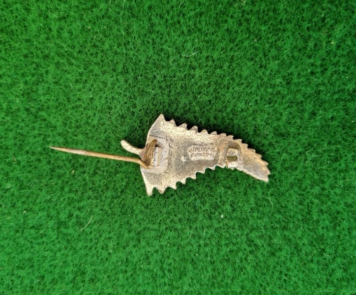 WW 1 NZ Nurse Badge. Carousel 2