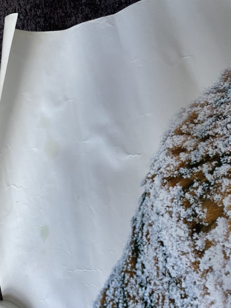 Snow Tiger Poster 92cm x 61cm Carousel 2