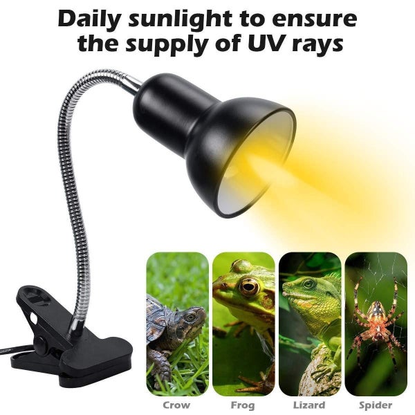 Reptile Heat Lamp NZ Clearance Carousel 13