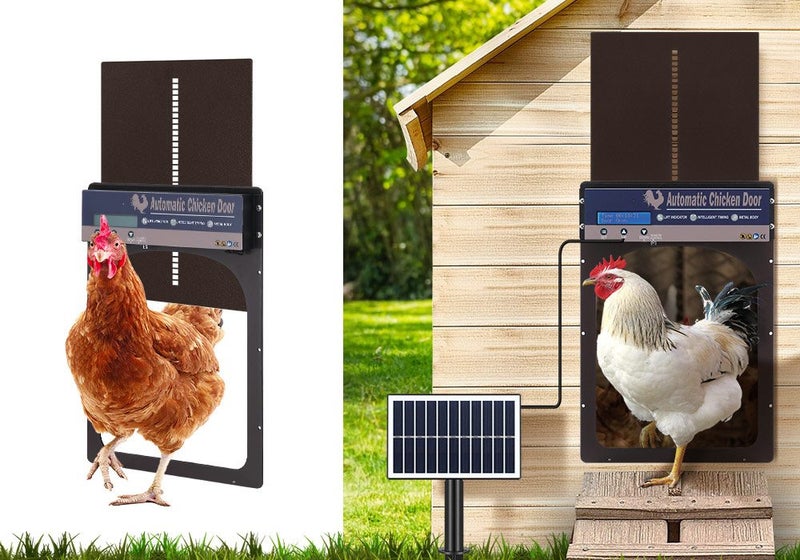 Auto Chicken Coop Door Opener Carousel 2
