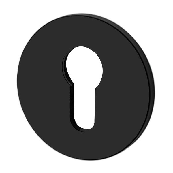 Buster and Punch Escutcheon Plate Euro Profile - Available in Various Finishes Carousel 1