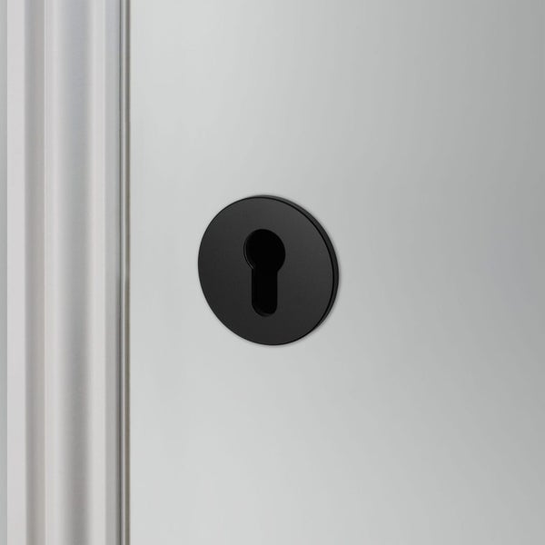 Buster and Punch Escutcheon Plate Euro Profile - Available in Various Finishes Carousel 2