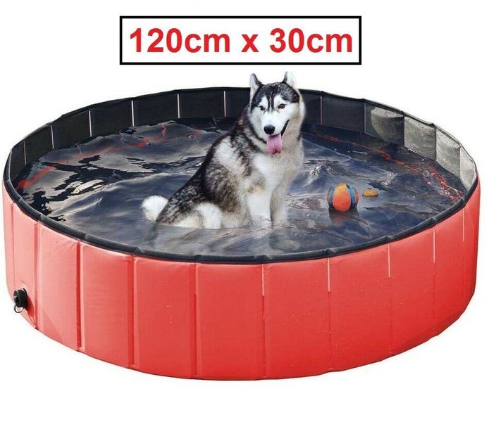 Dog Swimming Pool (OVER STOCKED) Carousel 1