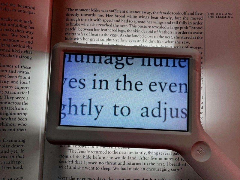 Electronic Hand Magnifier Carousel 1