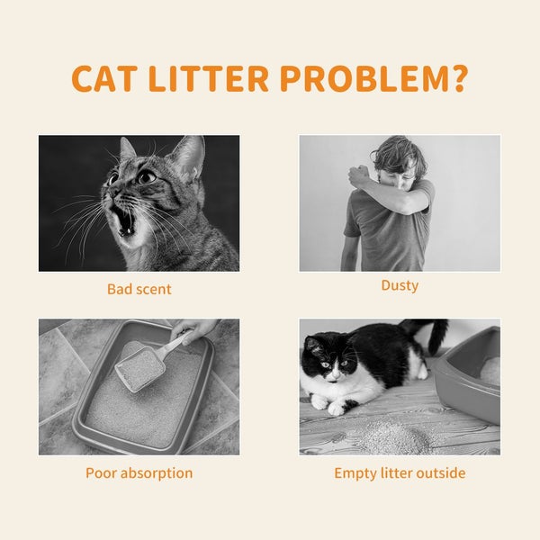 Pawz 2.5kg Tofu Cat Litter Clumping Flushable Fast Super Absorben Natural x1 Carousel 2
