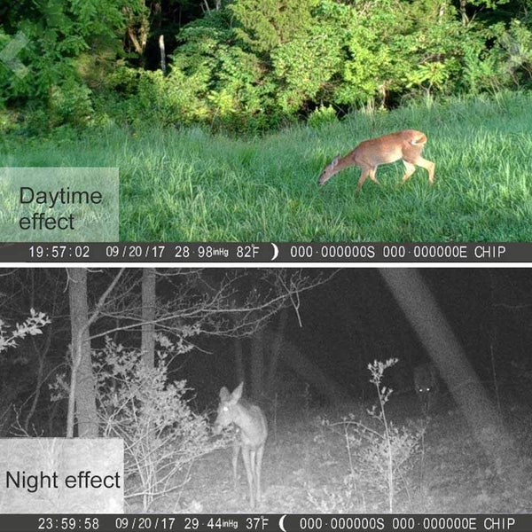 New Hunting Trail Camera Sale Sale Sale62863244516481113