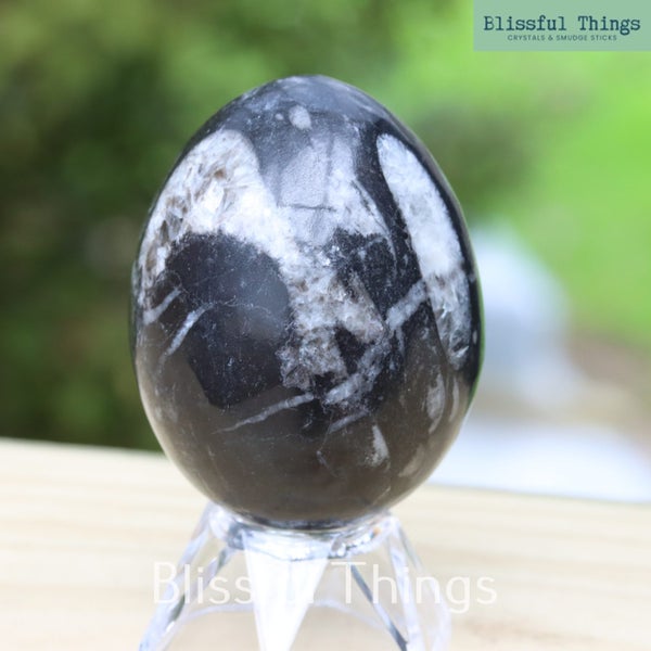 Orthoceras Fossil Egg (TMY150) Carousel 2
