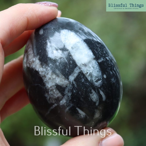 Orthoceras Fossil Egg (TMY150) Carousel 1