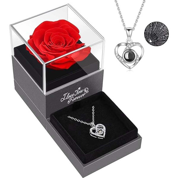 1set Hollow Zircon Love Necklace Female MOTHER'S Day Eternal Carousel 2