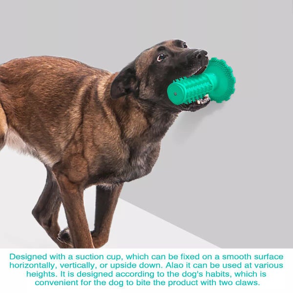 Dog Teeth Cleaning Squeaking Molar Rod Play Bite Toothbrush Toy Carousel 20