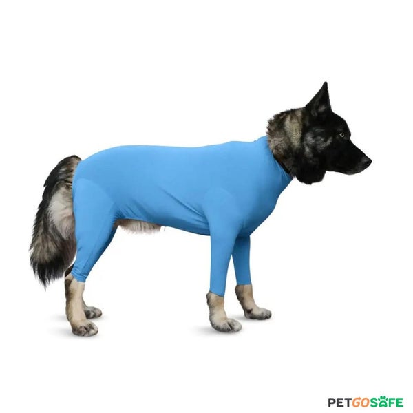 Dog Onesie for After Surgery Pet Surgical Recovery Suit Carousel 1