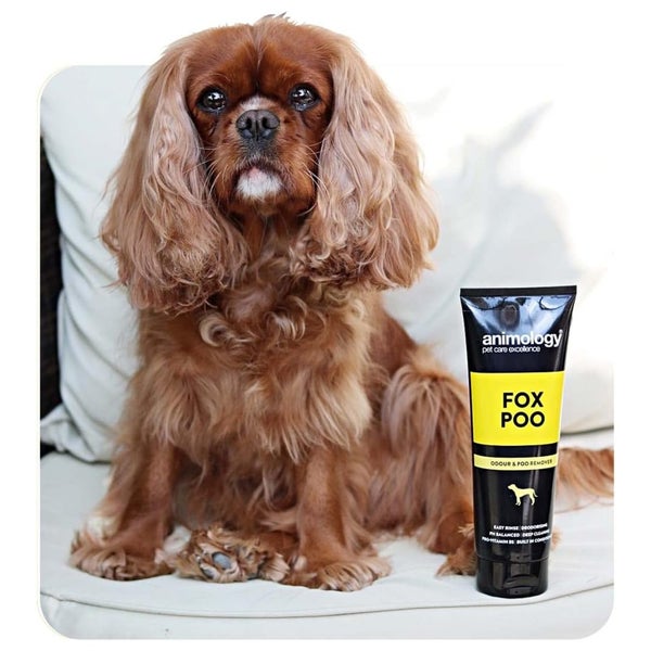 Animology Dog Fox Poo Shampoo Carousel 7