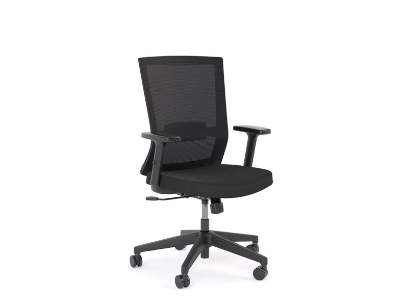 Knight's Tone Mesh Ergonomic Chair with Armrest Carousel 1