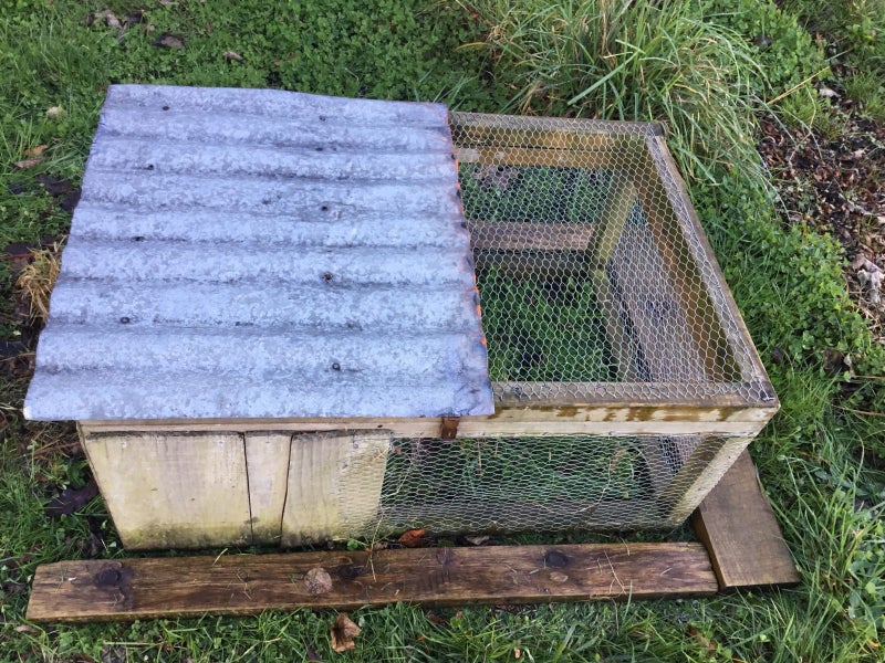 2x guinea pig cages+igloos Carousel 2