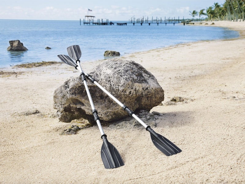 Bestway Oars Carousel 1