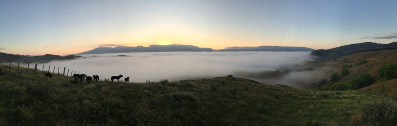 Tarawera Station Carousel 1