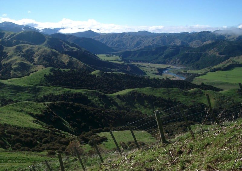 Tarawera Station Carousel 11