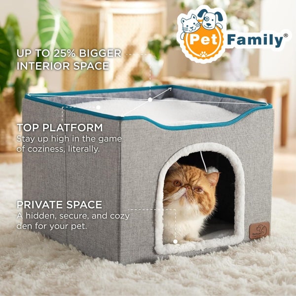 Cat House New Carousel 1