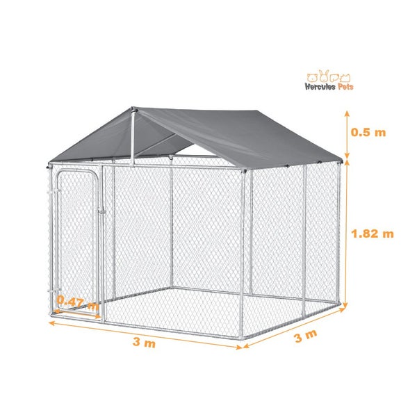 Dog Run Carousel 2