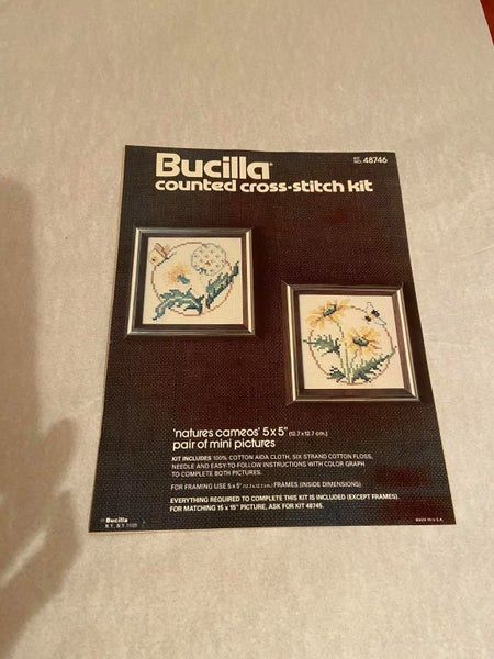 Counted Cross Stitch Carousel 1