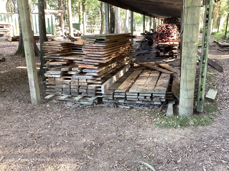 Douglas Fir. - large dimension Carousel 1