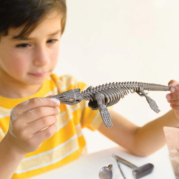 4M: KidzLabs - Dig A Mosasaurus Skeleton Carousel 2