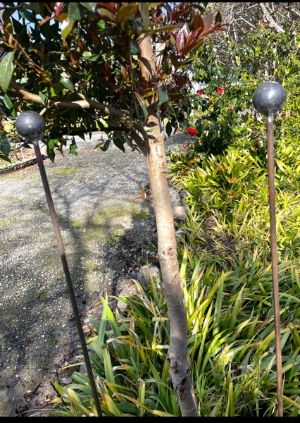 Garden Stakes Plant Supports Carousel 2