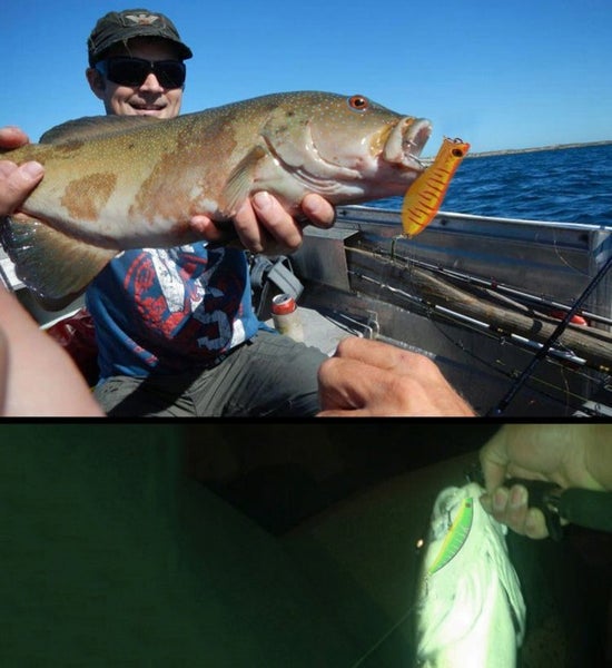 30 PCS Minnow Fishing Lure Set 6 Models Fishing Tackle Plastic Hard Body Bait Carousel 5