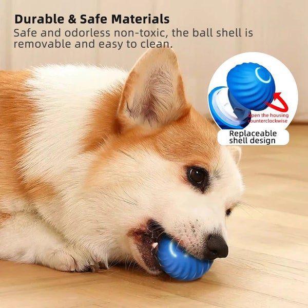 Active Rolling Ball Anti-Anxiety Automatic Moving Ball Carousel 2