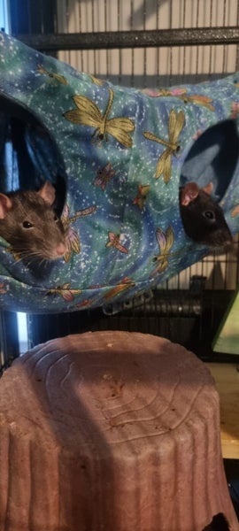 Corner Hut rat hammock - Choose your own design Carousel 2