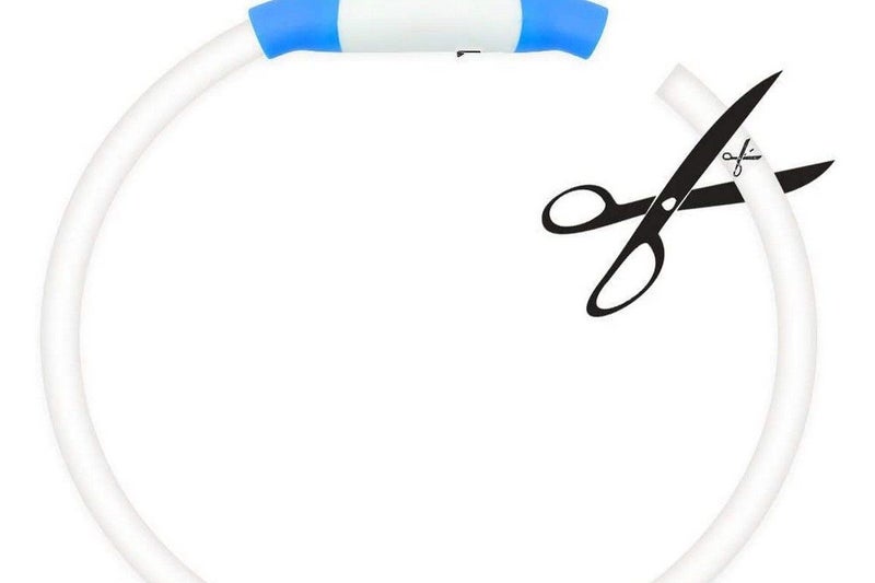 LED Light Up Pet Dog Collars USB Rechargeable Adjustable Size Pet Collar-Blue Carousel 2