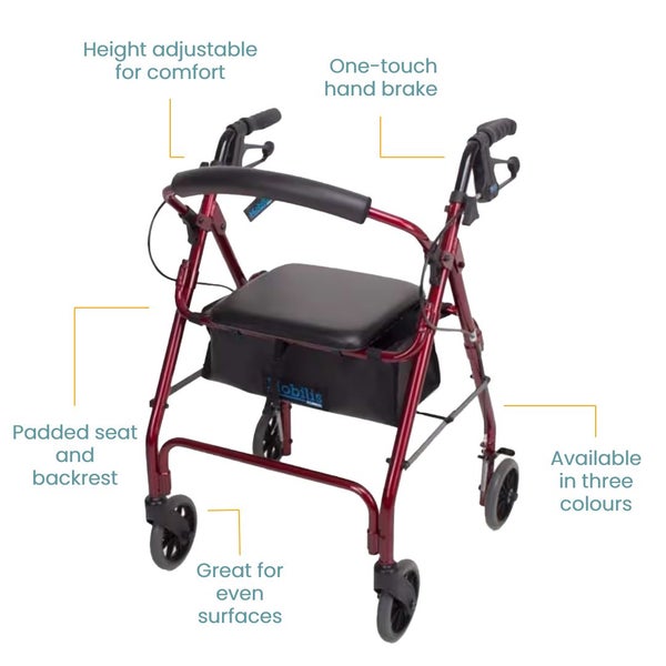 Mobilis walking frame Carousel 2