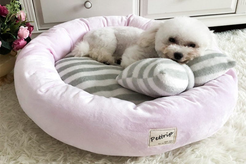 2Pcs Small Calming Dog Bed for Dogs Puppy Round Washable Pet Donut Bed For Cat-P Carousel 2