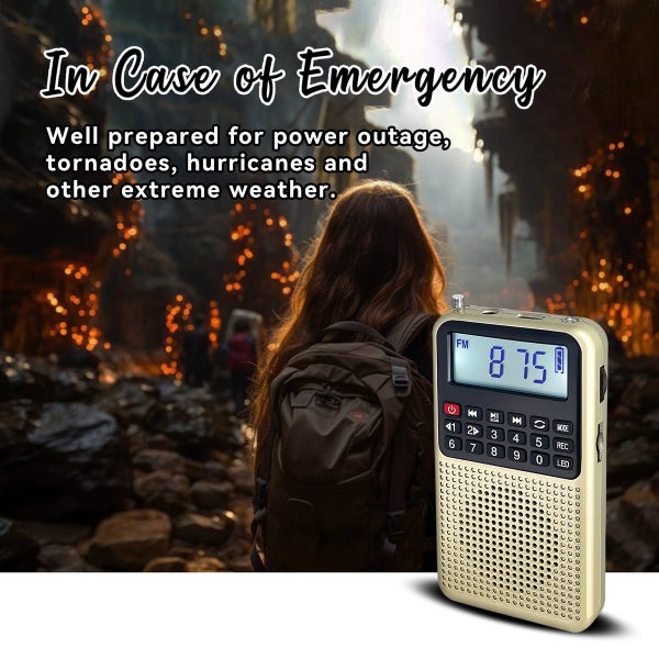 3 in 1 Portable Radio AM FM MP3 Player Voice Recorder Carousel 16
